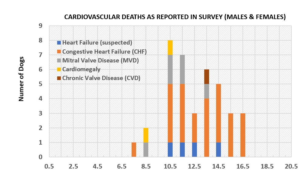Cardiac Health Chart