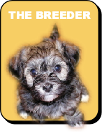Pup class breeder button
