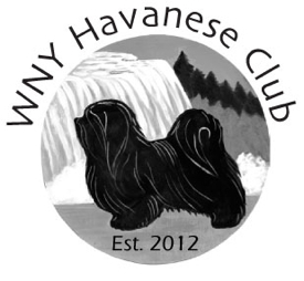WNY Havanese Club Logo